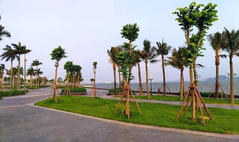 Sonny Homestay 2 -Can Lien Ke 5Pn -Khu Greenbayvillage - Duong Hoang Quoc Viet -Trung Tam Kdl Bai Chay Ха Лонг Екстериор снимка